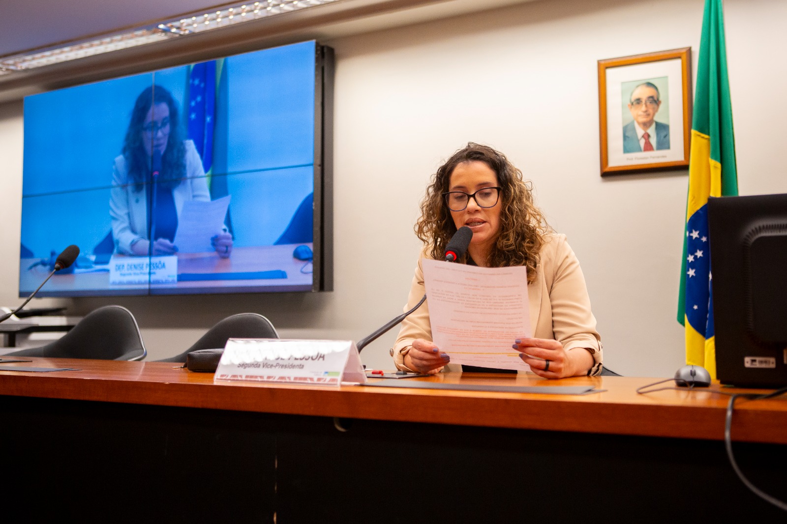 Com relatoria da deputada federal Denise Pessôa, Comissão de Cultura aprova projeto que impede uso da Lei Rouanet para financiar conteúdos que incentivem violência contra mulheres