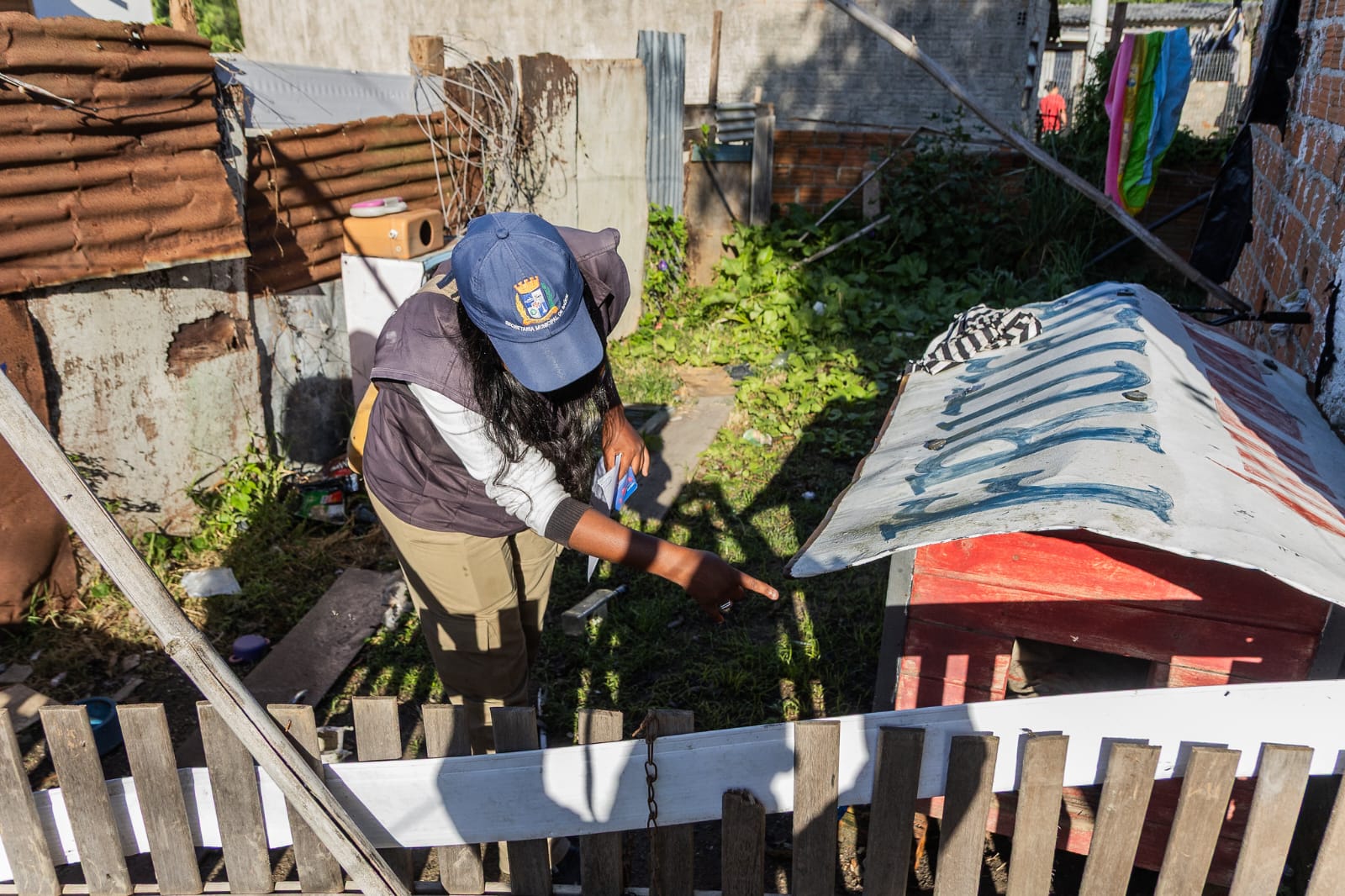 Pelotas: Casos de dengue sobem para 19